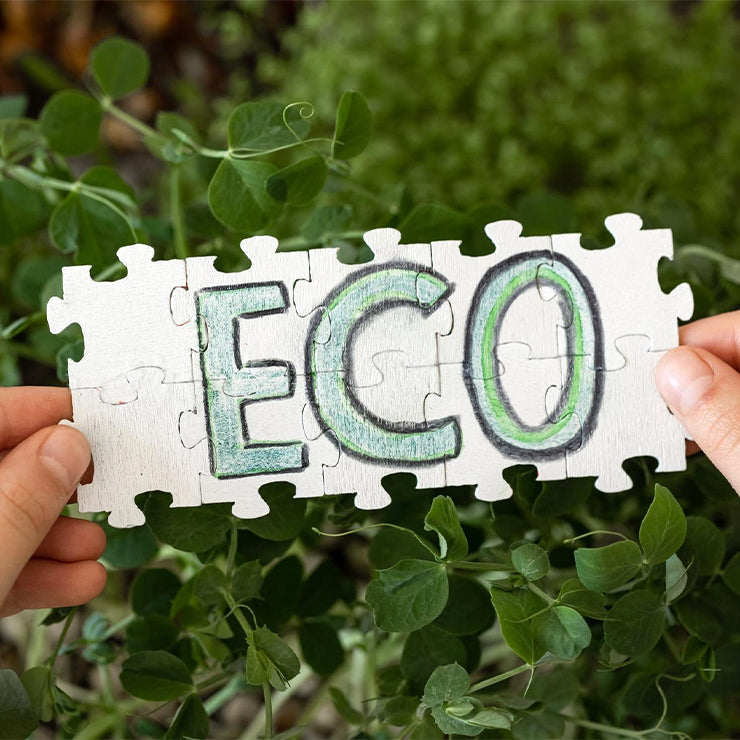 Responsible Power Solutions: Your Guide to Rechargeable Batteries and Recycling